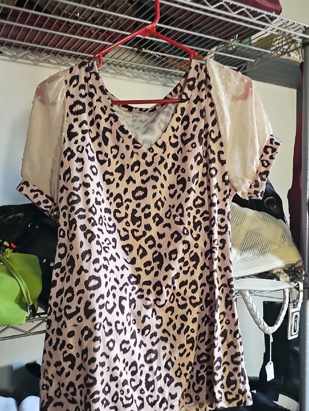 Leopard Print V-Neck Blouse with Sheer Puff Sleeves